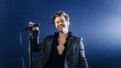 Does Harry Styles have a daughter? Everything you should know