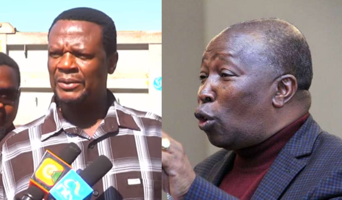 MP John Waluke wants Maina Kamanda expelled from Jubilee party for ...