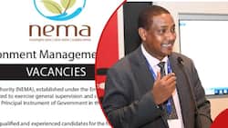 NEMA Invites Applications for 32 Job Vacancies With May Deadline: "Permanent and Pensionable"