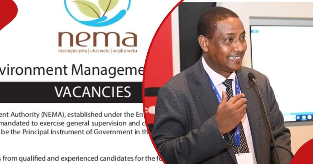 Job vacancies at NEMA.