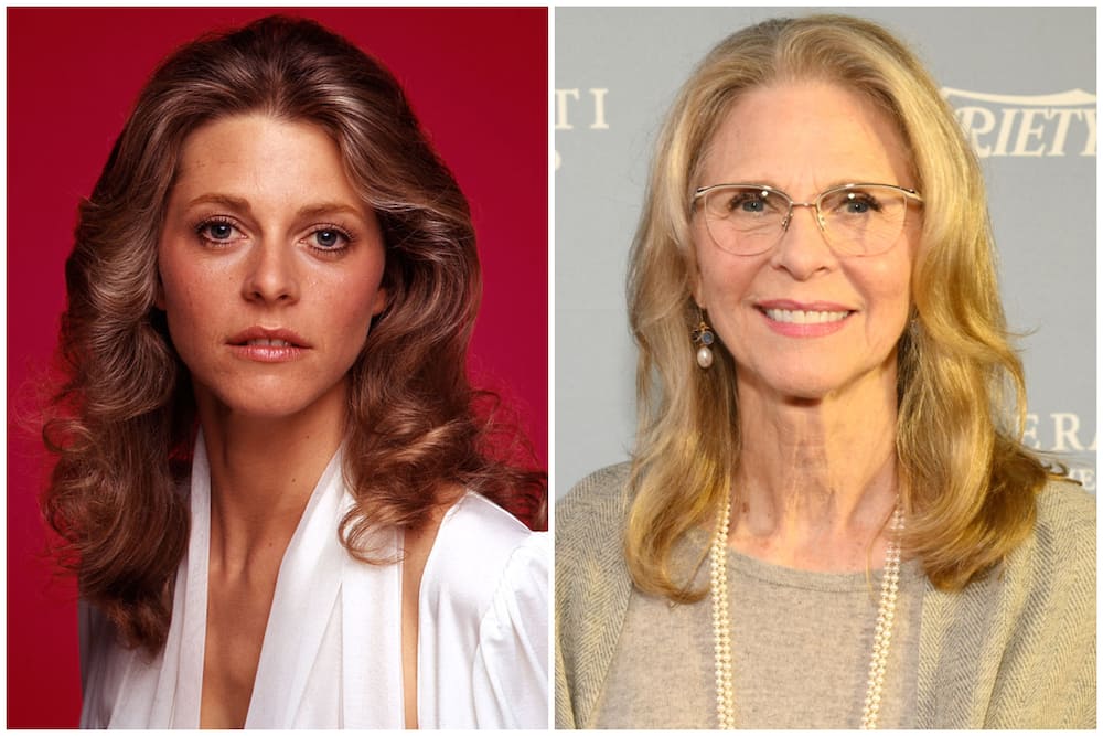 The Six Million Dollar Man cast member Lindsay Wagner past and present photos