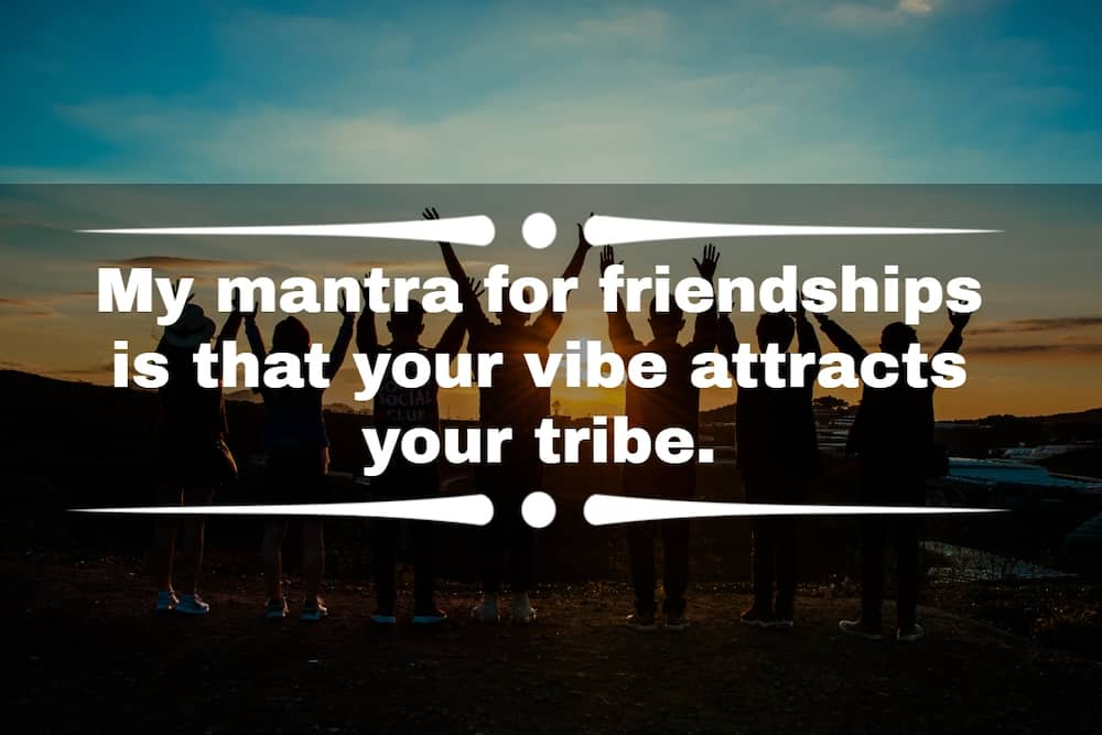 100 more than friendship quotes to share with your bestie 