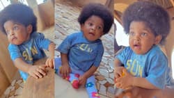 "The Most Beautiful Girl": Viral Video of Baby with Long Natural Afro Leaves Many Impressed on TikTok