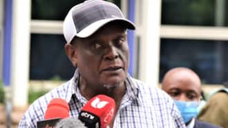 David Murathe: I'm Very Fearful of What Will Happen if William Ruto Is Defeated in August