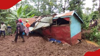 Kiambu: Several People Feared Dead after Landslide in Kimende