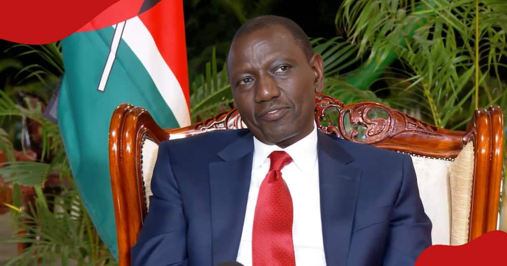 President William Ruto sacrifices sleep, vows to tackle youth unemployment crisis.