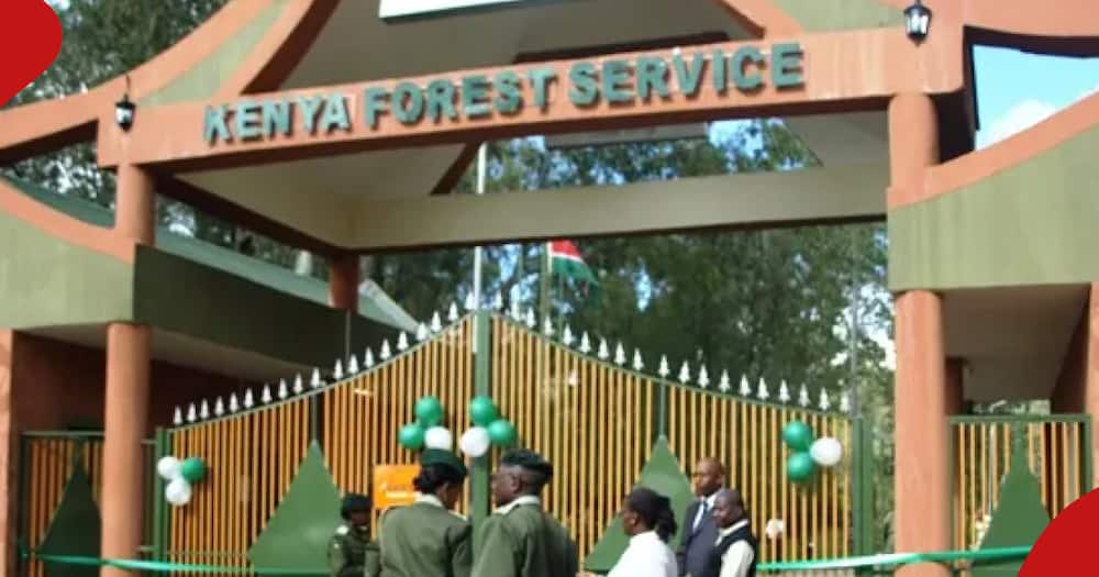A Form Three student has been hospitalised after KDF officials allegedly assaulted him
