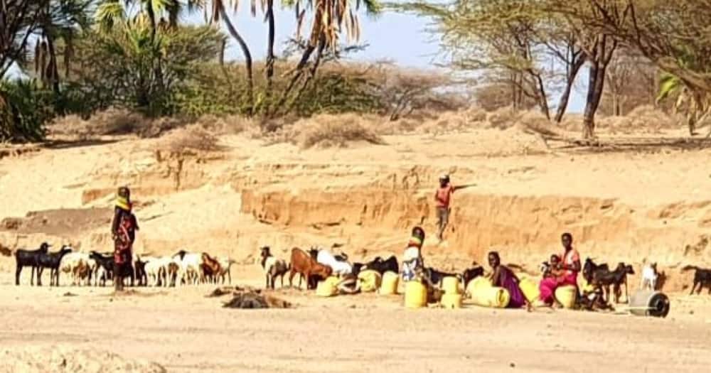 Met department forecasts worsening drought situation in North Eastern.