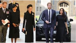 Prince Harry, Meghan Markle Not Invited to Queen Elizabeth II's Pre-Funeral Reception