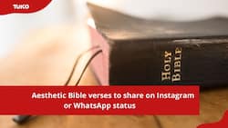20+ aesthetic Bible verses to share on Instagram or WhatsApp status