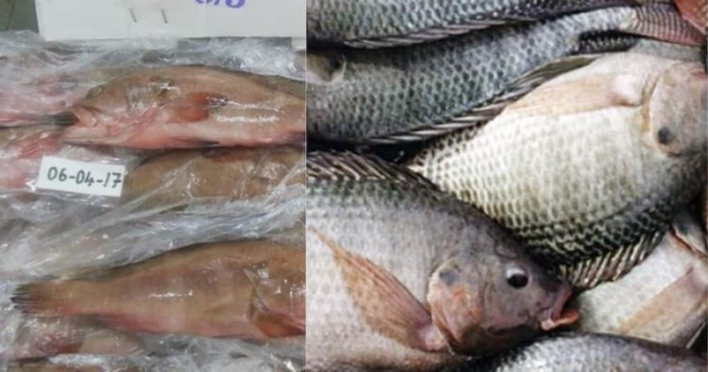 Lab test reveals fish imported from China contaminated with deadly toxics