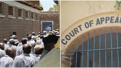 Court of Appeal Declares Life Imprisonment Unconstitutional in Landmark Judgement