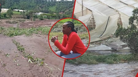 Nyandarua Farmer Counts Losses After Floods Destroyed Her Greenhouses With Crops