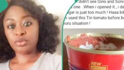 Facebook User Arrested after "Bad" Review of Tomato Paste Online: "It's Sugary"