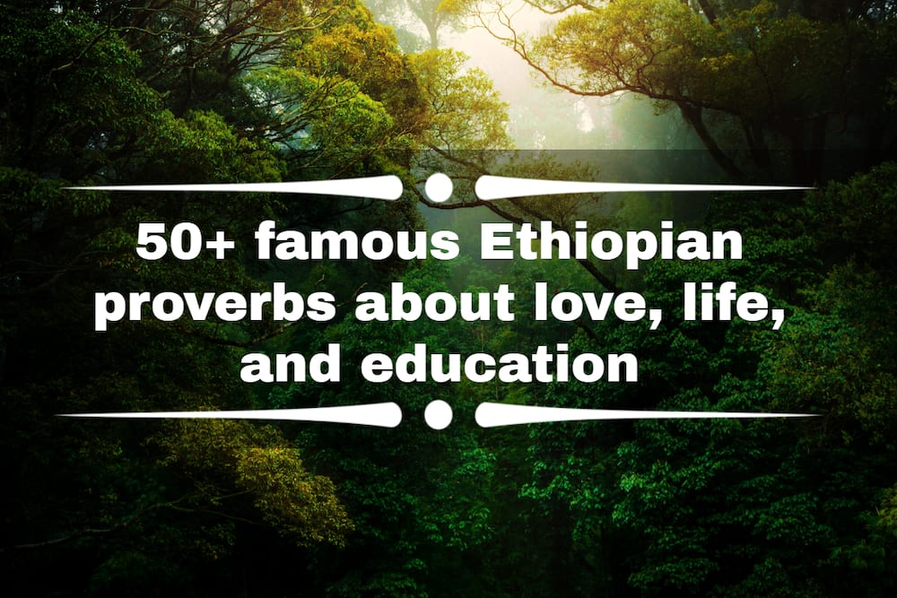 Ethiopian proverbs