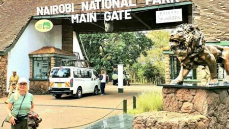 Nairobi National Park game drive charges, opening hours, entrance fees