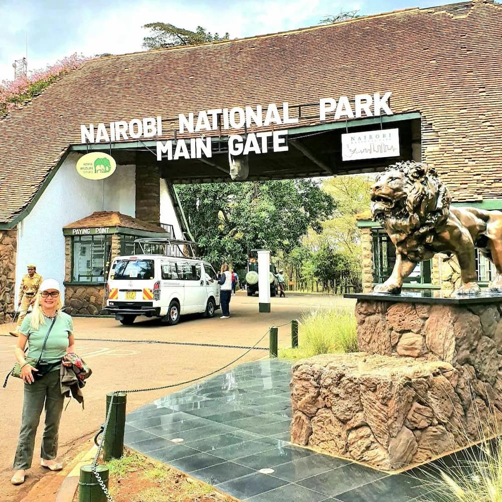 Nairobi National Park game drive charges