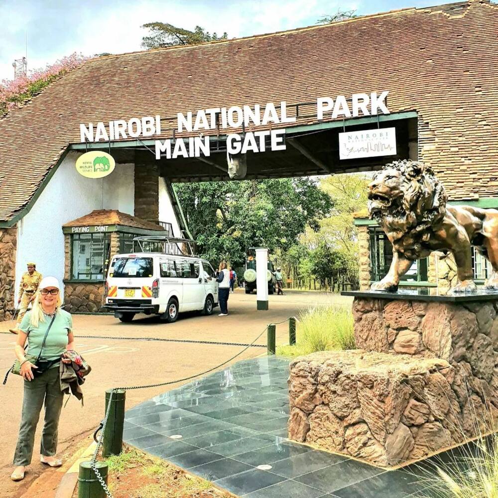 Nairobi National Park game drive charges, opening hours, entrance fees