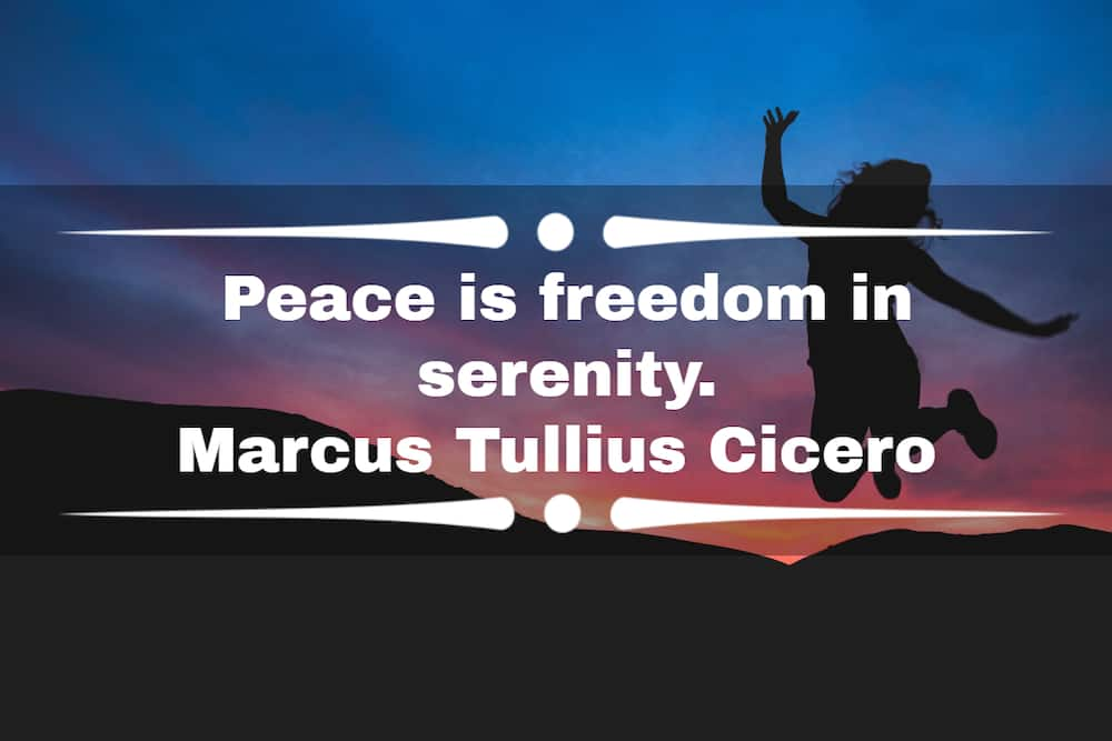 50+ most inspirational quotes about peace, love, and happiness - Tuko.co.ke