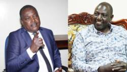 Cyrus Jirongo Says Ruto Is Popular in Some Areas: "You Can't Write Him Off"