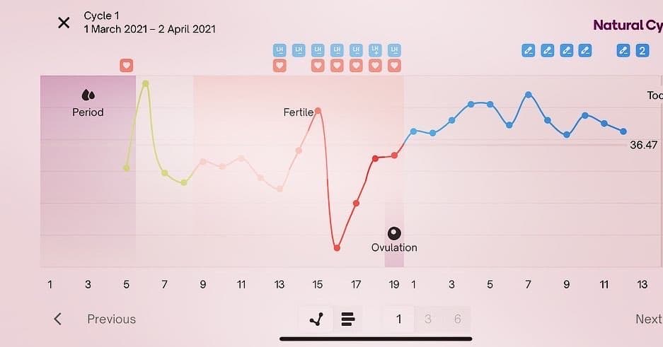 Safe days to avoid pregnancy: How to calculate before and after periods 