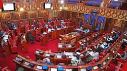Kenyans Raise Concerns as Senate Suspends Sittings over Power Outage: "We Have No Country Here"