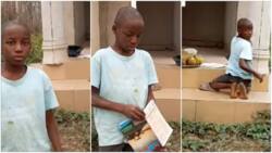 Kid Hawking Plantain Does His School Assignment by Roadside in Touching Video