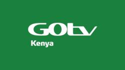 GOtv packages, channels, prices and bouquets in Kenya 2023