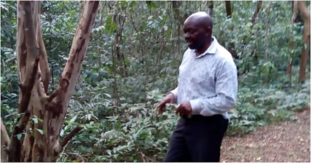 John Obiri: Kenya, world has lost a great environmentalist through death of MMUST’s professor