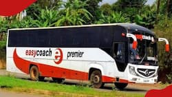 Police Begin Manhunt for Easy Coach Driver after Kisumu Bus Accident