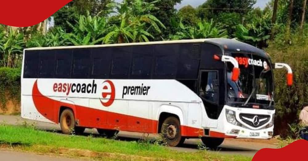 A bus belonging to Easy Coach