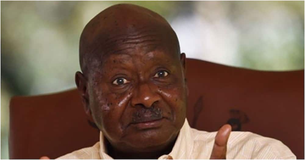 President Yoweri Museveni suspends state house officials over missing piglets