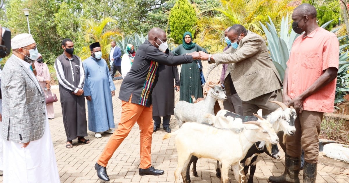 DP Ruto Awazawadi Maimamu Mbuzi Wanne Kusherehekea Sikukuu ya Idd ▷ Kenya News