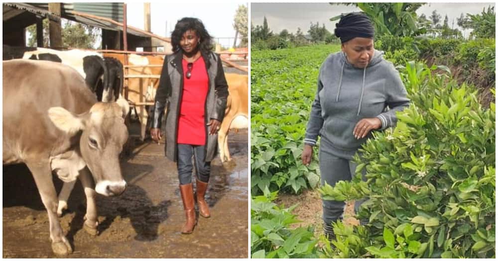 Kenyan women are excelling in the agriculture sector.