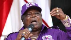 Francis Atwoli Laughs at William Ruto's Demand on Musalia Mudavadi: "He Can't Manage 10"