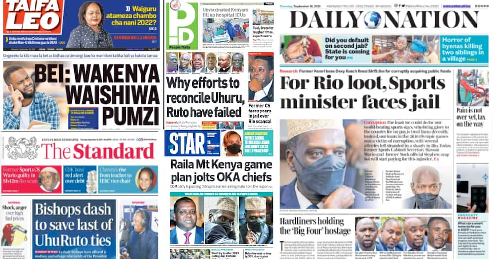 Kenyan newspapers. Photo: Screengrabs from The Standard, Daily Nation, The Star, People Daily and Taifa Leo.