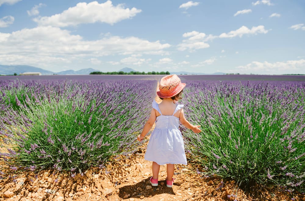 A girl standing in purple lavender fields in the summer