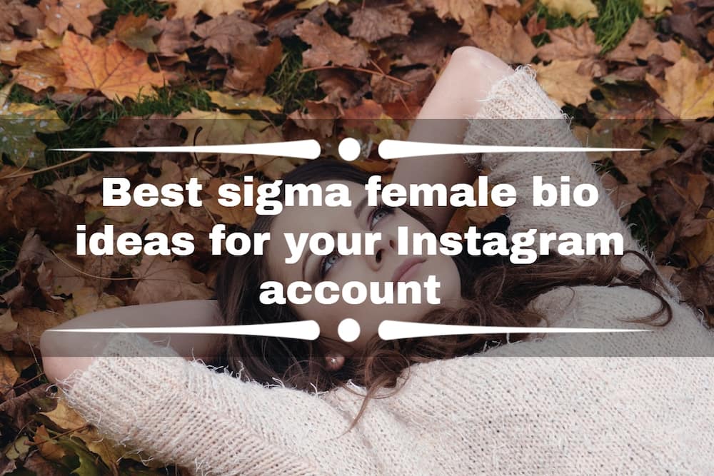 30+ best sigma female bio ideas for your Instagram account 