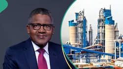 Africa's Richest Man Aliko Dangote Explains Reason He Lost His Wealth after Elections