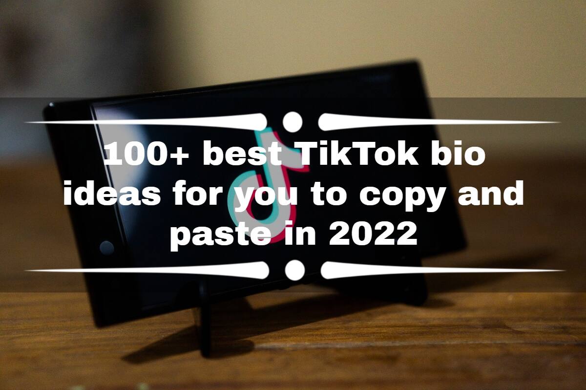 100-best-tiktok-bio-ideas-for-you-to-copy-and-paste-in-2022-tuko-co-ke