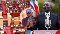 Edwin Sifuna Declares He Won't Attend William Ruto's State of Nation Address: "Listening to Lies"