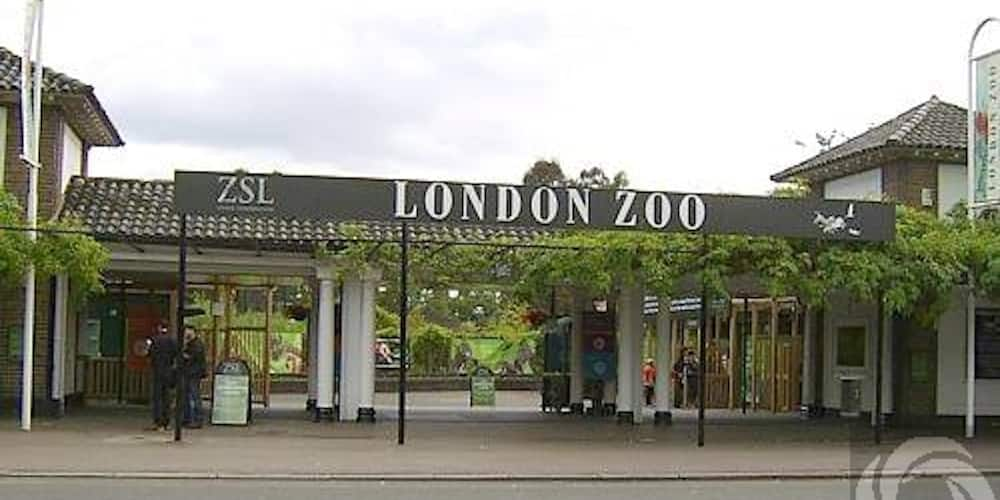 Largest Zoos in the world by area