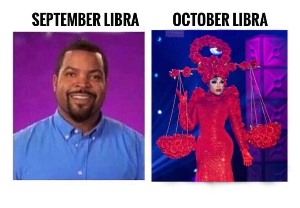 libra memes