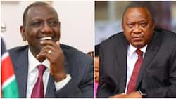 Samson Kipkoech to Tourism Fund: William Ruto Further Replaces Uhuru's Appointees with Allies