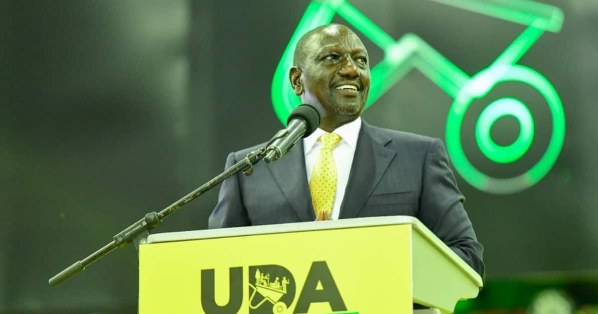 William Ruto's Moi-Style Divide and Rule Tactics Should Worry Mt Kenya  People - Tuko.co.ke