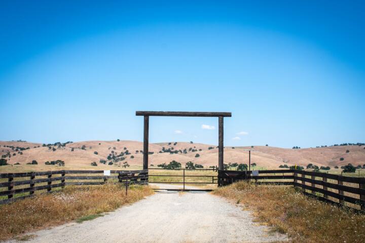 100-romantic-farm-names-that-are-cute-catchy-and-unique-tuko-co-ke