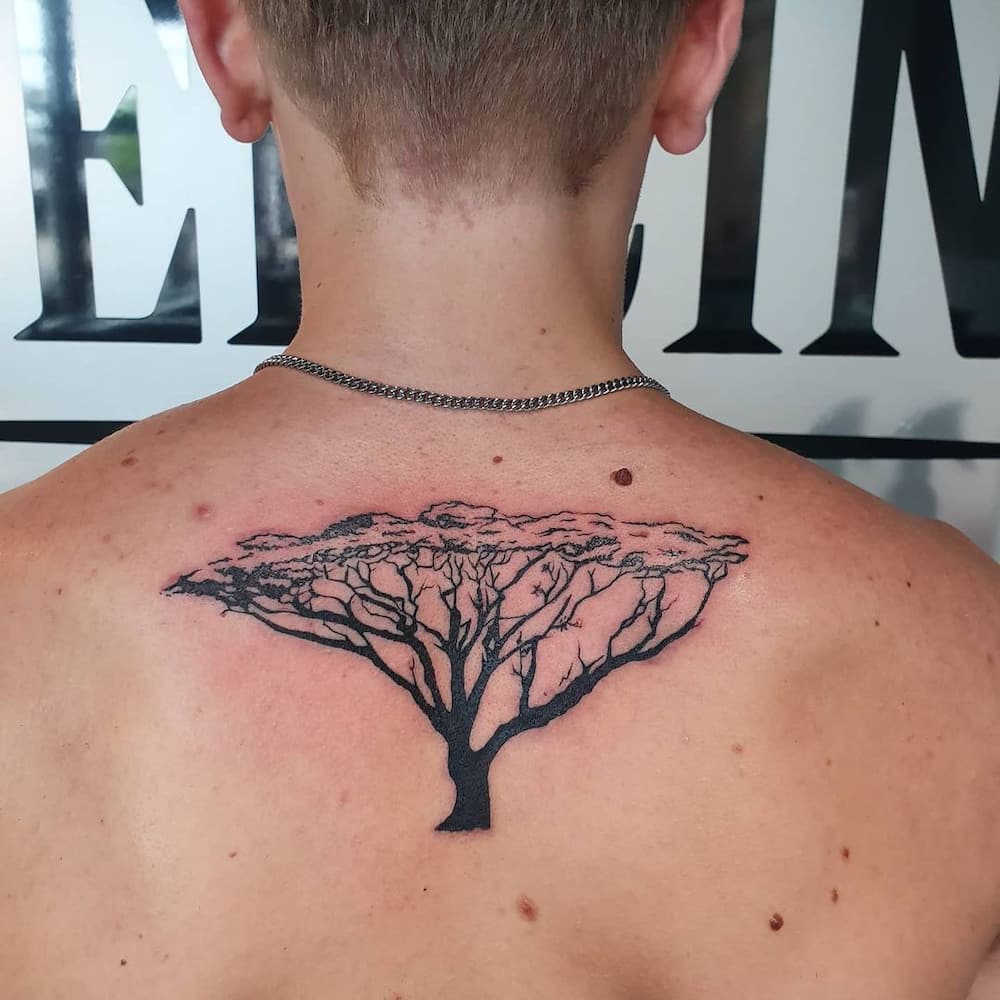 tribal tree tattoo