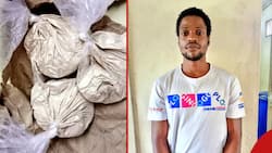 Detectives Arrest Mombasa University Student with Narcotics Worth KSh 1.2m