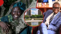 Wangari Maathai's Movement to Sue Johnson Sakaja Over Plans to Build Night Club at Uhuru Park