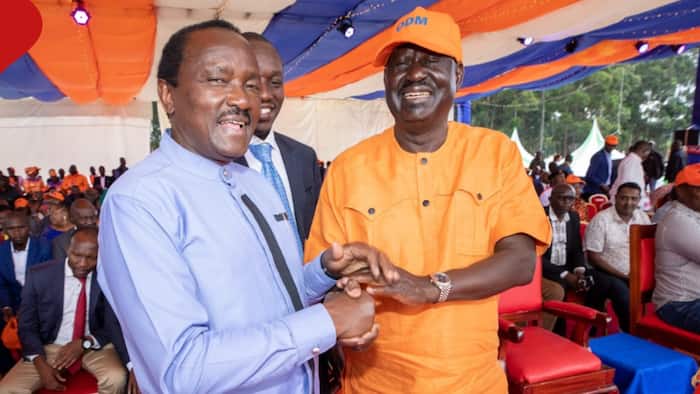 Kalonzo Musyoka To Rebrand Wiper Party Ahead of 2027 Polls: "Mapema Ndio Best"